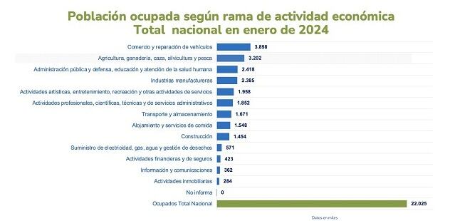 Gracias al incremento en la producción agrícola, se observa un abastecimiento diversificado que incluye granos, frutas, carnes y lácteos, destacando la contribución del sector rural a la seguridad alimentaria nacional.