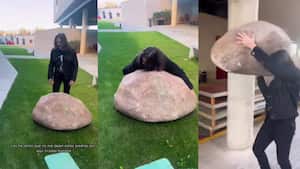 El cantante recientemente lanzó su canción 'Por un perro' en colaboración con Los ángeles azules.