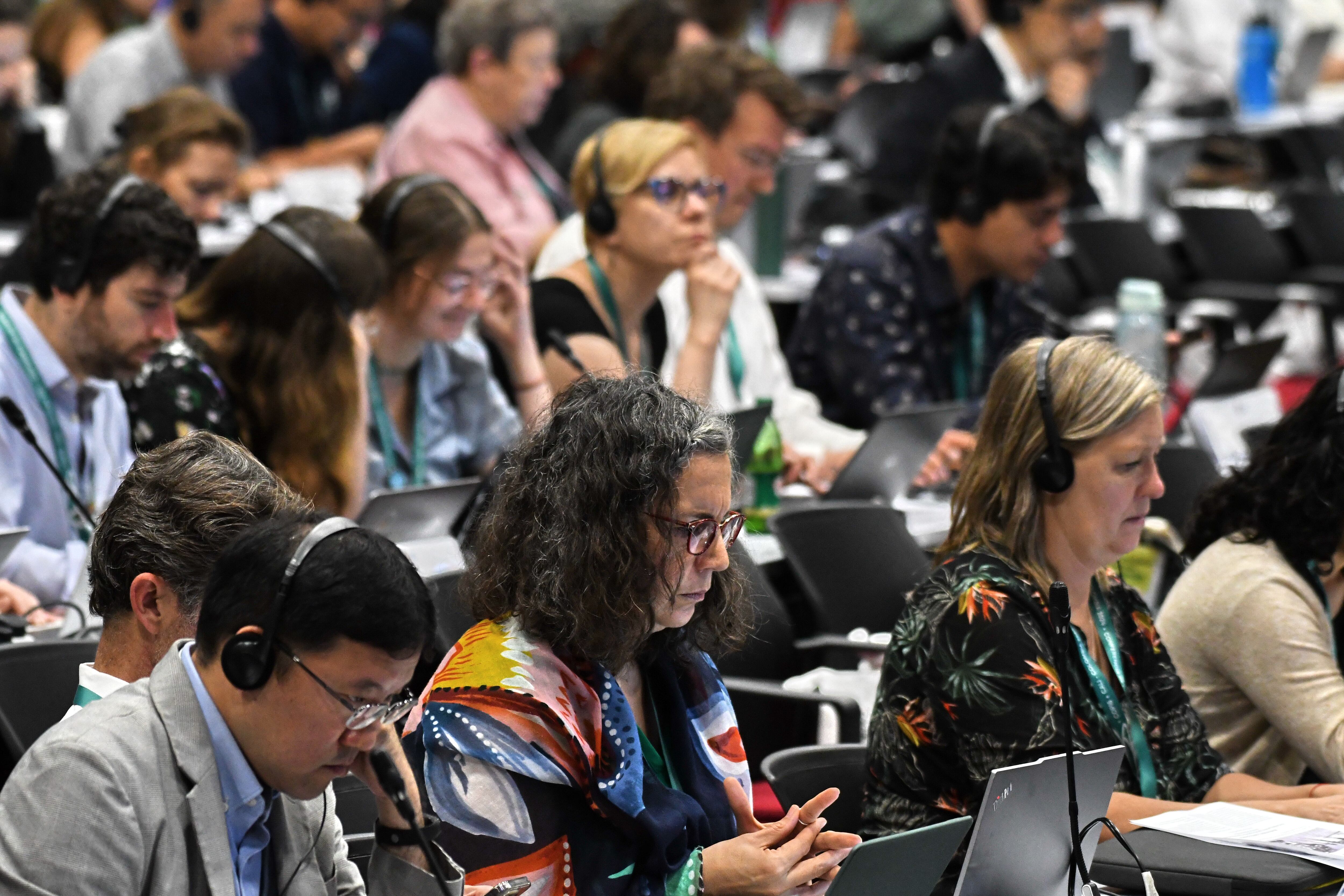 Cali: Cop 16, zona azul,   último día de plenarias, salida de delegados. Foto José L Guzmán. El País.