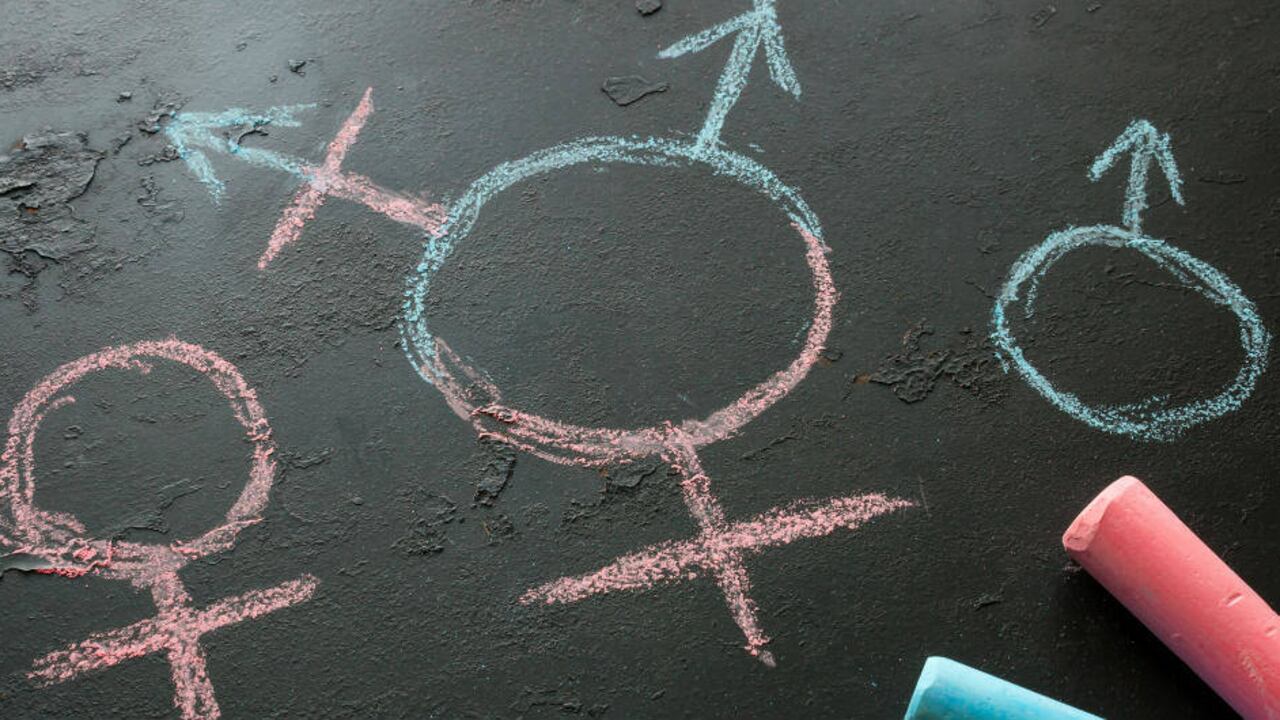 El colegio Amaranta Gómez es la primera escuela de América Latina creada para alumnos transgénero