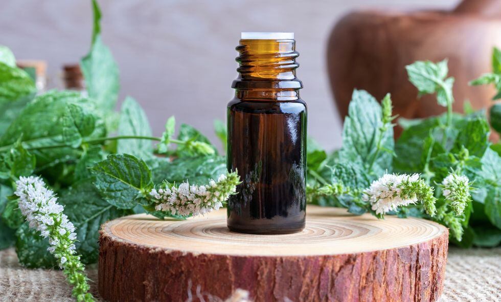 Aceite de menta