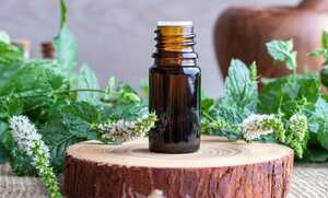 Aceite de menta