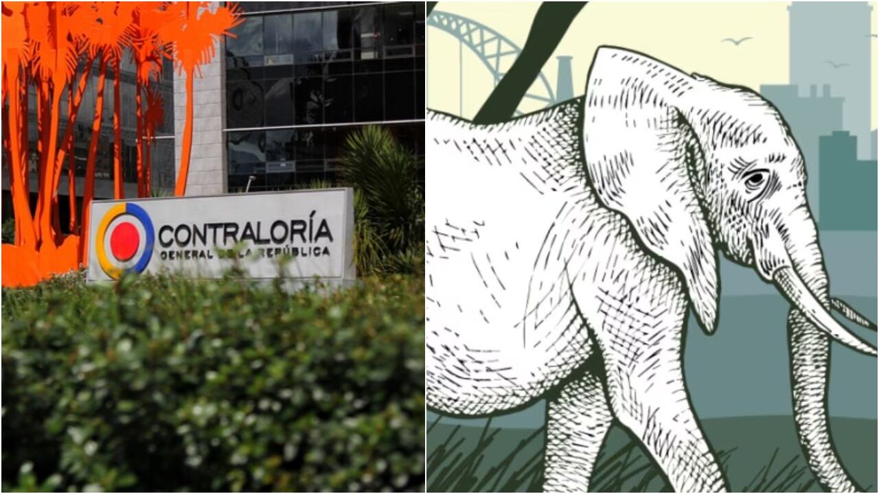 La Contraloría ha identificado cientos de "elefantes blancos" en todo el país.