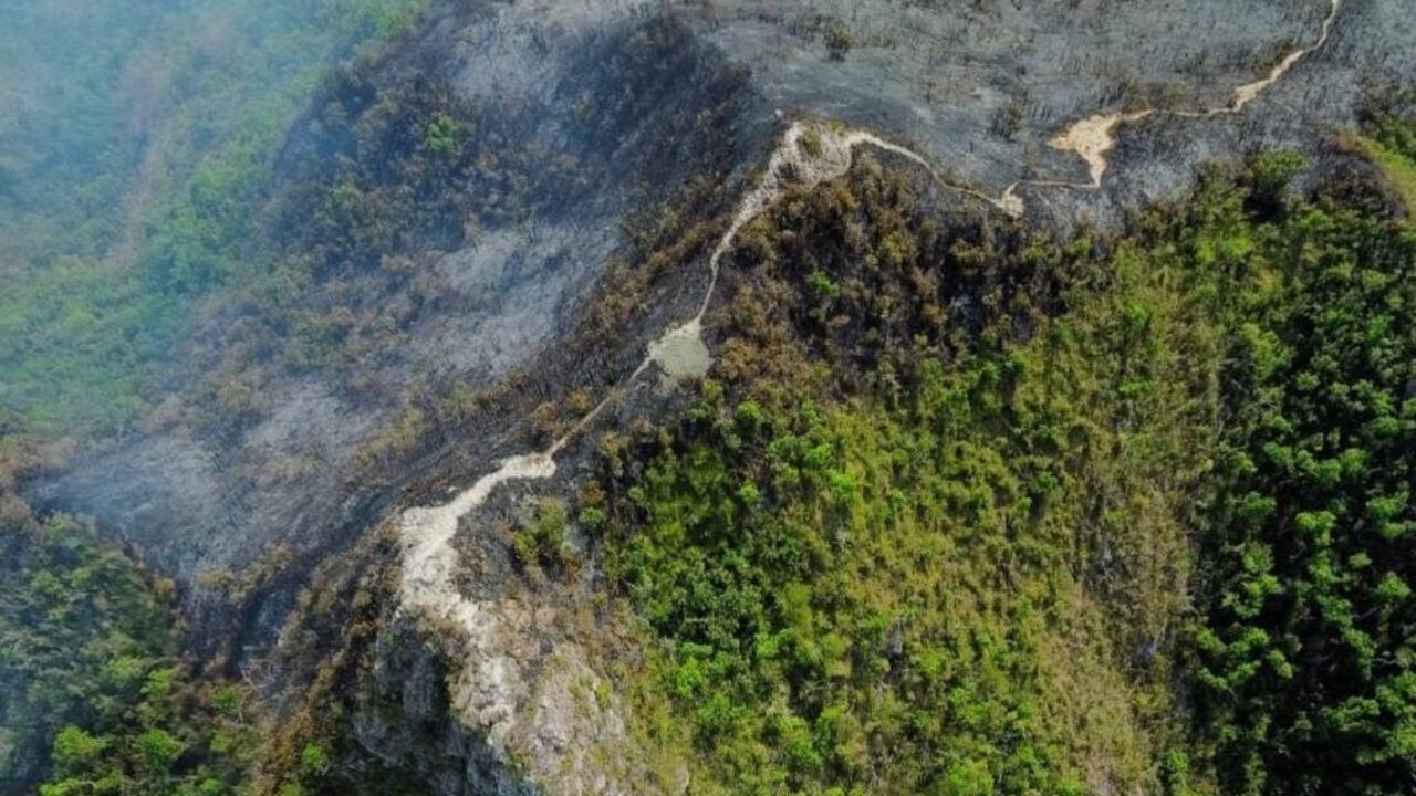 Incendio Forestal en Providencia