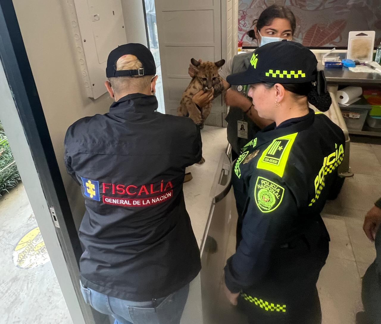 La denuncia fue dada a conocer por la comunidad en redes sociales