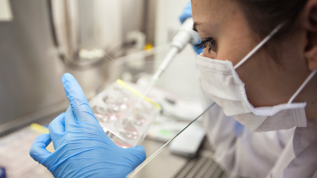 Imagen de referencia, no corresponde al caso en mención.