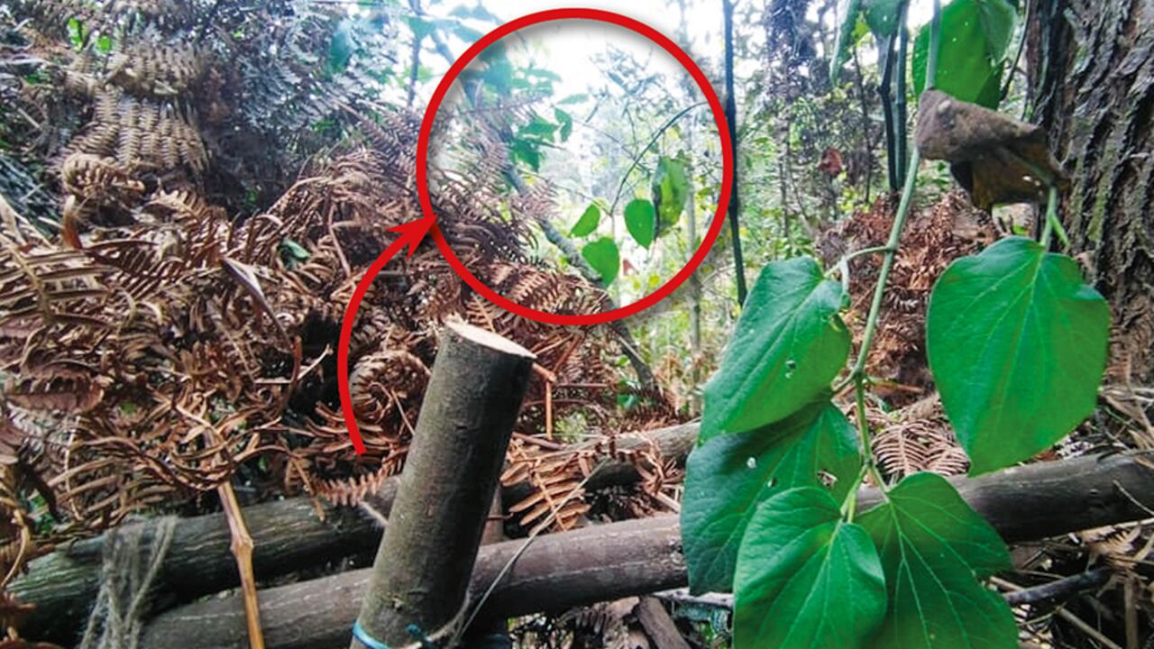 El fusil que disparó el cartucho 7.62, capaz de alcanzar un objetivo a un kilómetro de distancia, fue apoyado en un trípode improvisado de madera.