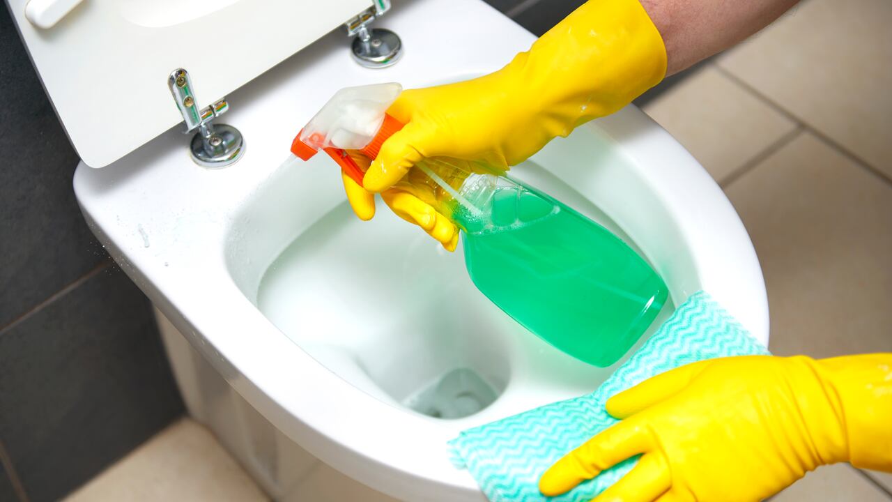 Se deben usar productos desinfectantes para eliminar los gérmenes que puedan acumularse.