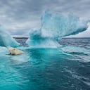Canadá, Territorio de Nunavut, Repulse Bay, el oso polar (Ursus maritimus) nadando junto al derretimiento del iceberg cerca del Círculo Polar Ártico en la Bahía de Hudson