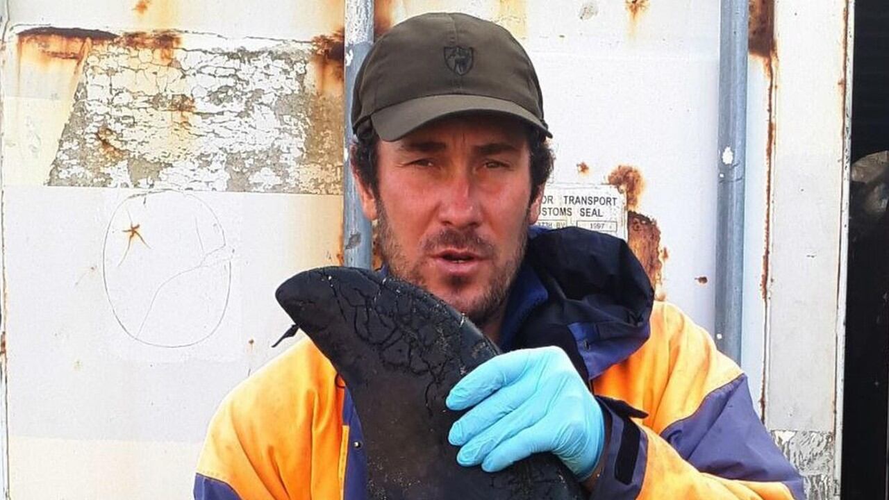 Las aletas de orcas arrancadas fueron encontradas a dos kilómetros de distancia, una en 2022 y la otra en 2024, lo que indicaría un comportamiento recurrente.