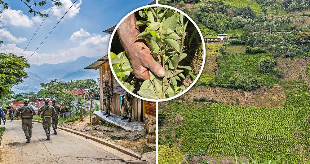 La Secretaría de Gobierno del Cauca estima que en ese departamento hay 17.000 hectáreas de cultivos ilícitos.