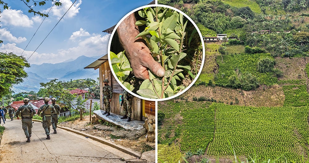 La Secretaría de Gobierno del Cauca estima que en ese departamento hay 17.000 hectáreas de cultivos ilícitos.