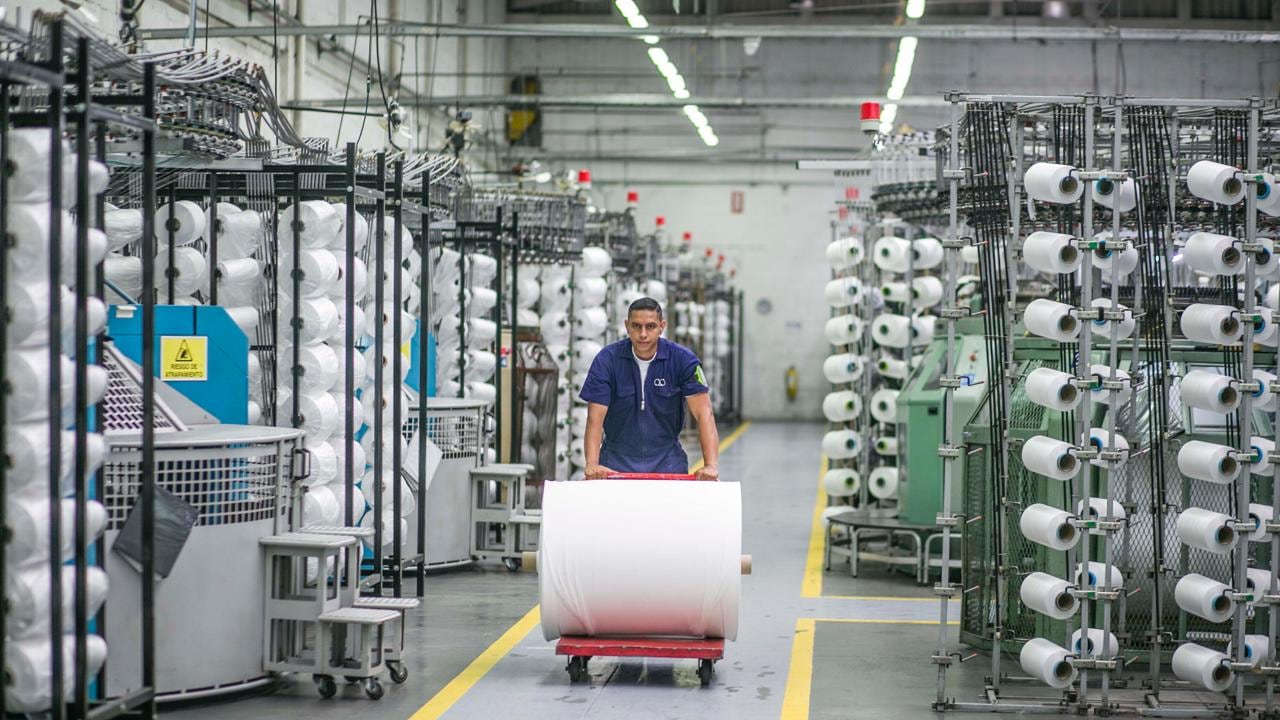 Industria manufacturera.