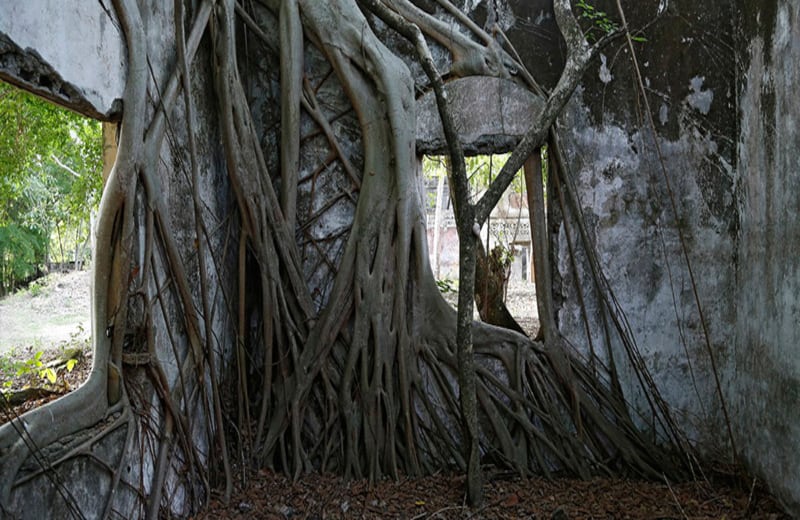 Se calcula que un 85% de los 380 kilómetros cuadrados que comprendían el área urbana de Armero, quedó sepultado bajo el lodo. 