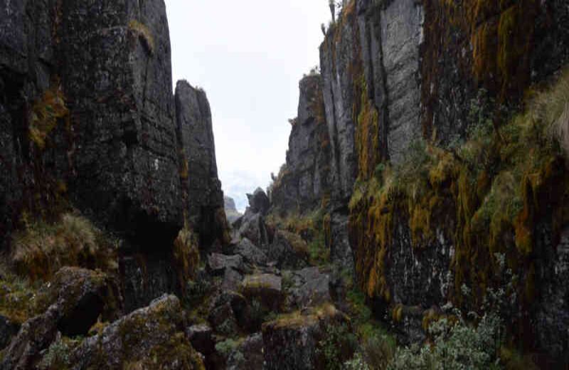 En el trayecto es común encontrar paisajes en piedra, cuevas, túneles que hacen de la experiencia una aventura.