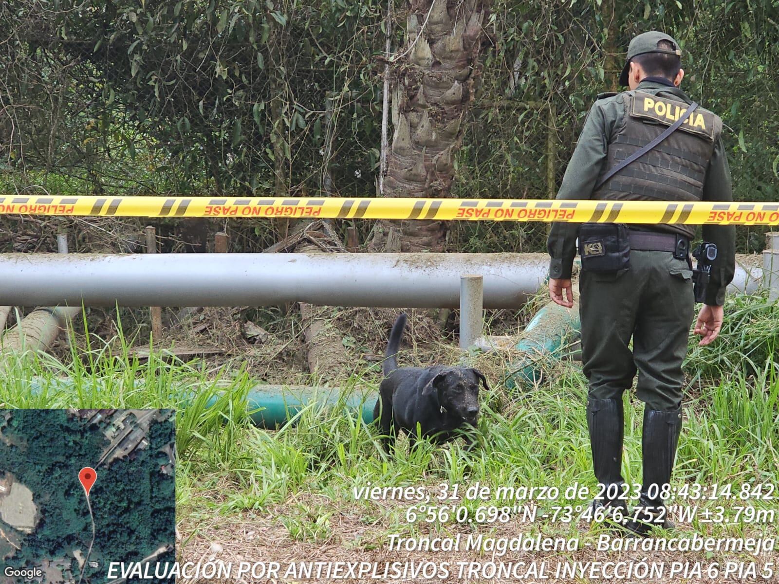 El hecho se registró en el corregimiento El Centro.