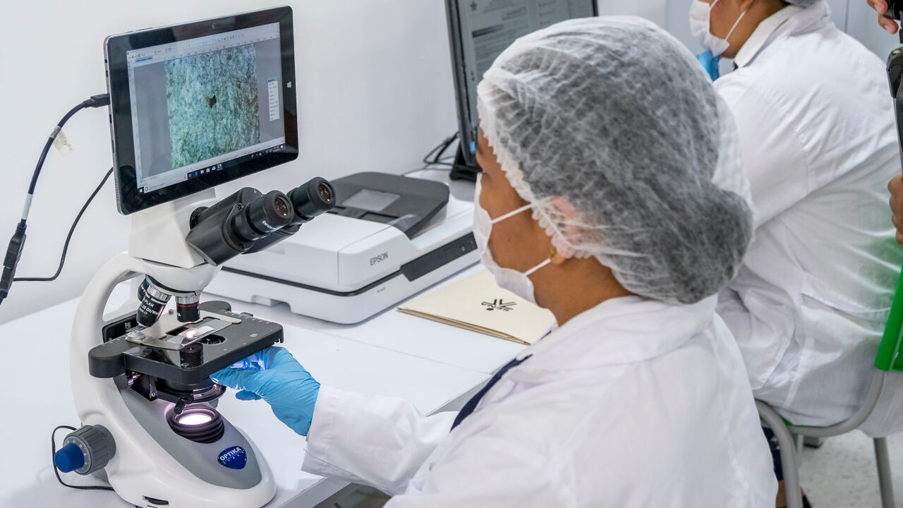 La oferta de programas de formación virtual del SENA incluye técnicos, tecnólogos y especializaciones.