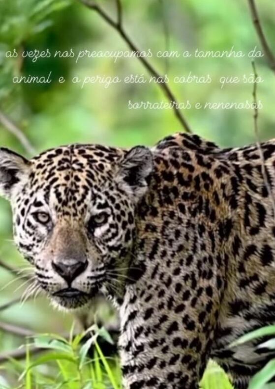 El mensaje de Lucía, mamá de Dani Alves, hoy en la cárcel