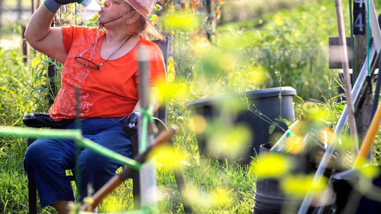 Marti Syring bebe para hidratarse mientras en el jardín para adultos mayores del condado Montgomery el viernes 16 de junio de 2023 en Conroe, Texas. (Jason Fochtman/Houston Chronicle vía AP)