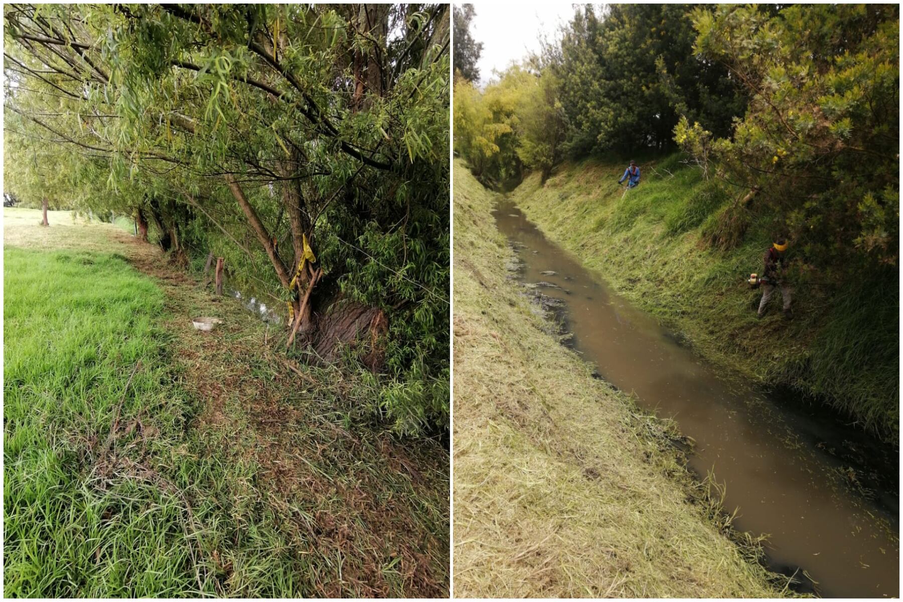 La empresa Coca Cola apoyó con la limpieza de 200 metros del tercer tramo de la quebrada.