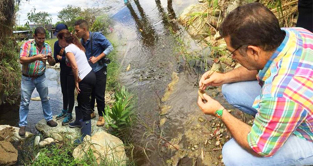 Luís Carlos Serna, Diputado del Quindío (Derecha) ha hecho monitoreo junto a su equipo durante los últimos 3 años sobre la cuenca del río Quindío hasta la bocatoma del acueducto de Armenia. Según el informe entregado a SEMANA y revisado por las autoridades de salud, el agua presenta niveles elevados de organoclorados y otros agroquímicos, provenientes al parecer de fincas aguacateras.