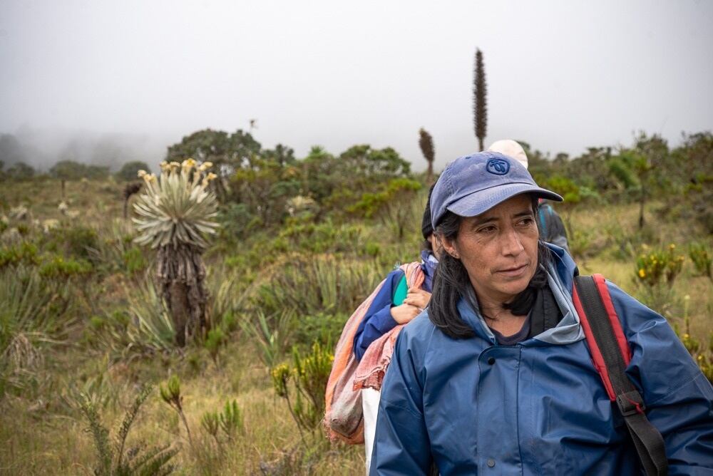 Las hermanas Robles que reforestan Villa de Leyva con el árbol de su apellido.