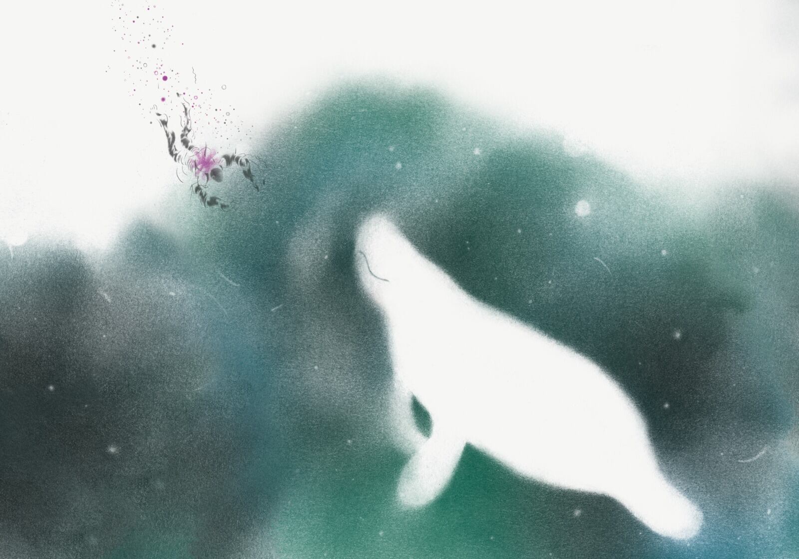 'Jarupia. El secreto de Ayapel', fotolibro de Chino Romero Hoyos / Raya Editorial