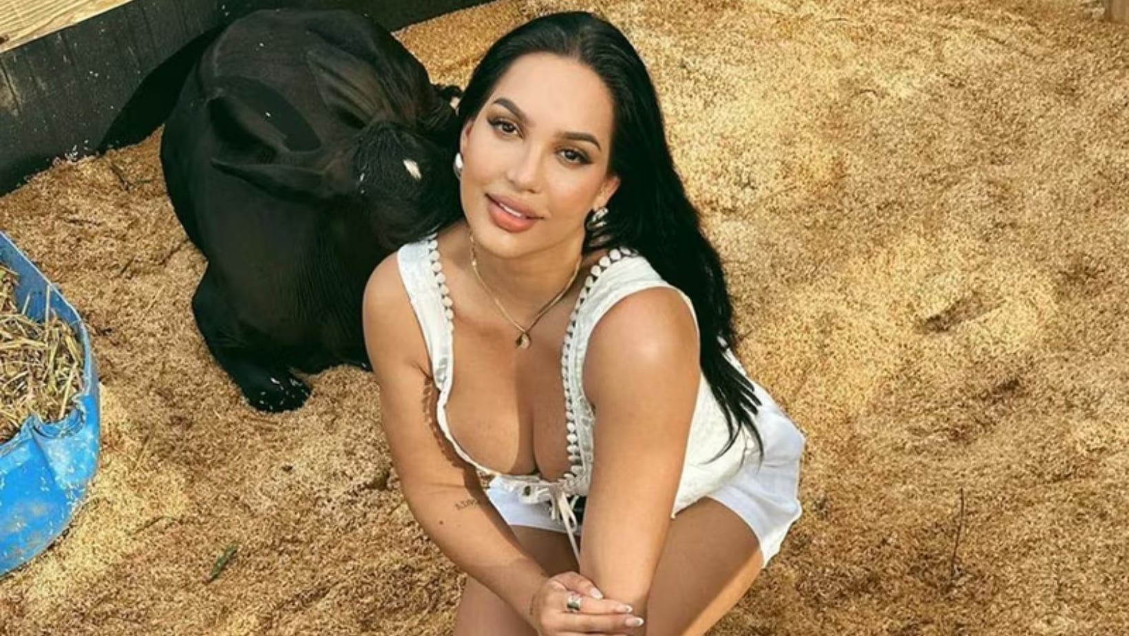 Instagram: @andrevaldirisos