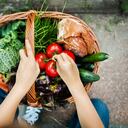 Manos de una niña poniendo vegetales recién cosechados en una canasta