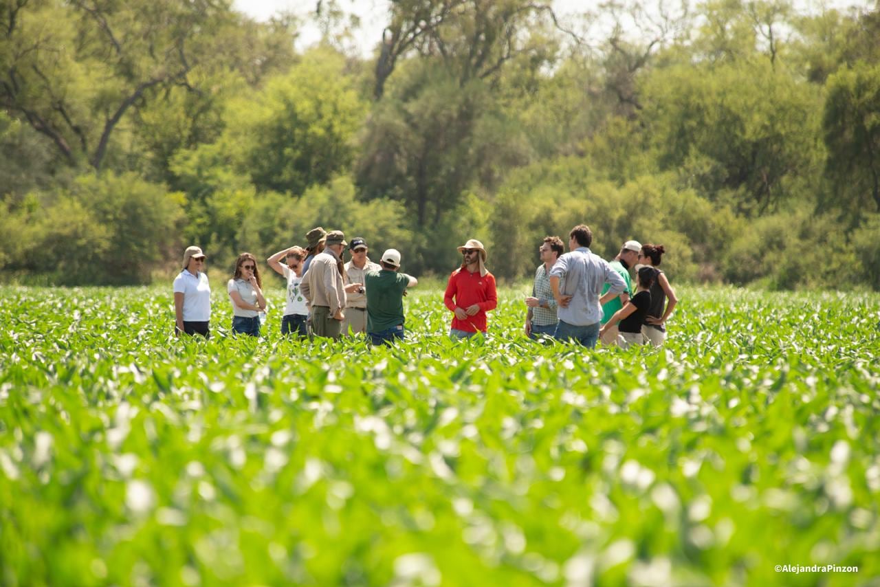 Summit Regeneradores reunirá a más de 1.300 personas para generar rutas de acción para la transición hacia una ganadería y agricultura regenerativa.