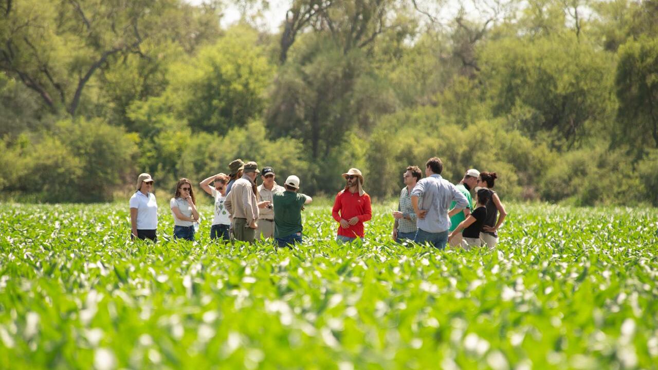 Summit Regeneradores reunirá a más de 1.300 personas para generar rutas de acción para la transición hacia una ganadería y agricultura regenerativa.