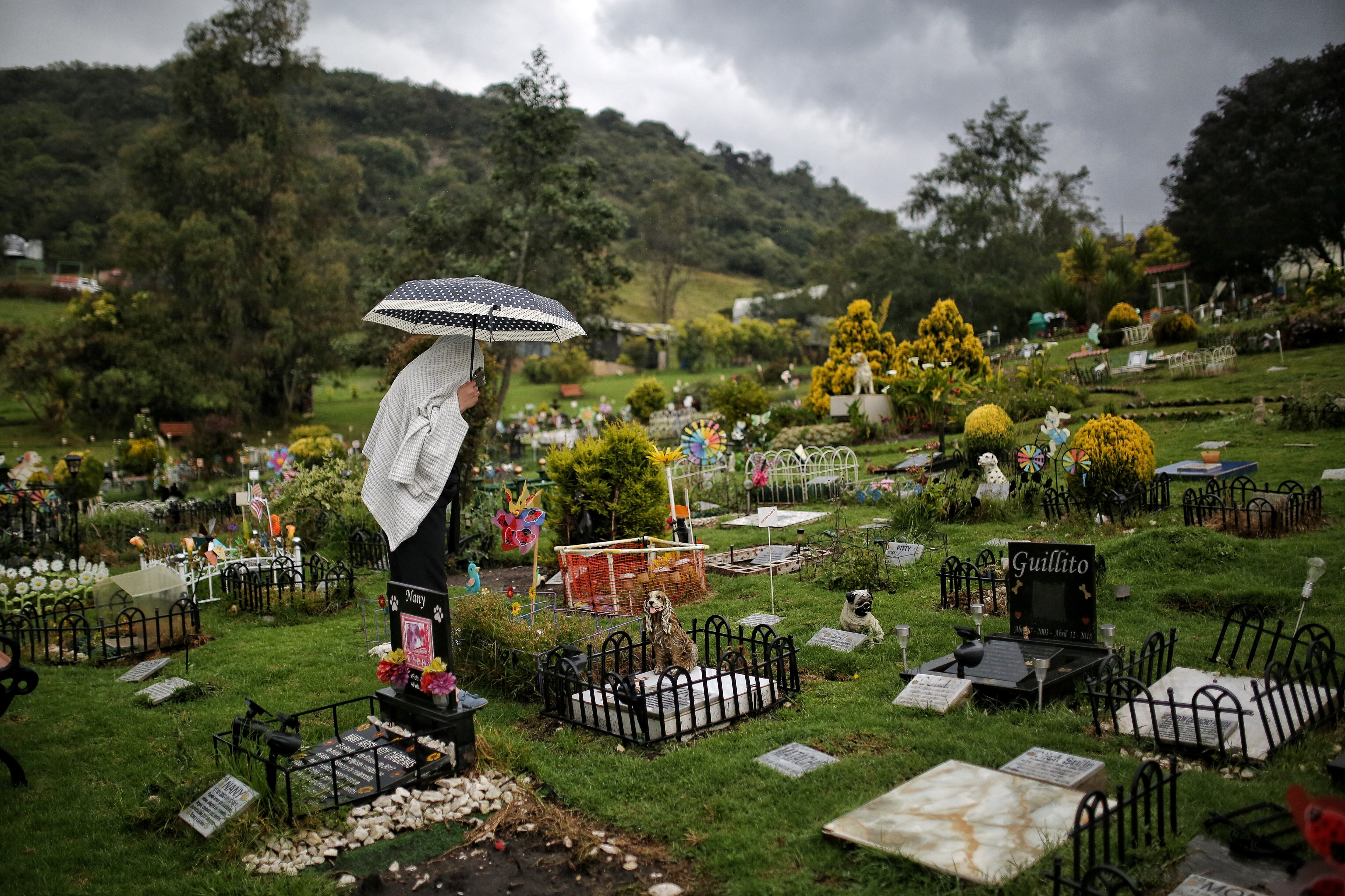 Cremación, exequias y cementerio de animales domésticos, perros y gatos