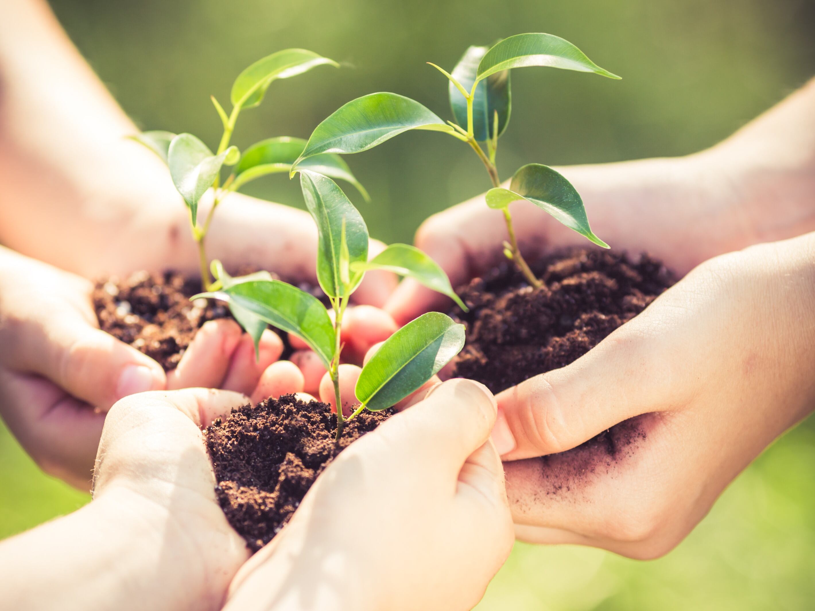 Las estrategias de Compensar para reducir el consumo de papel