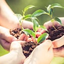 Las estrategias de Compensar para reducir el consumo de papel