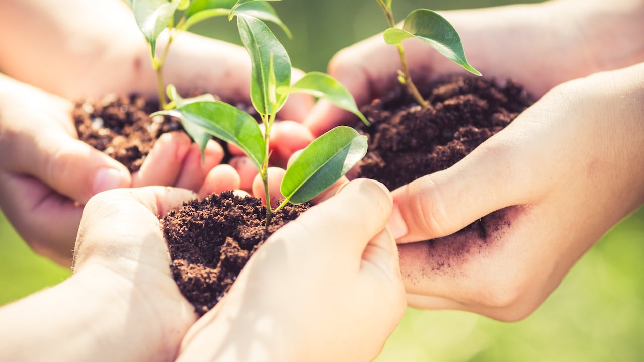 Las estrategias de Compensar para reducir el consumo de papel