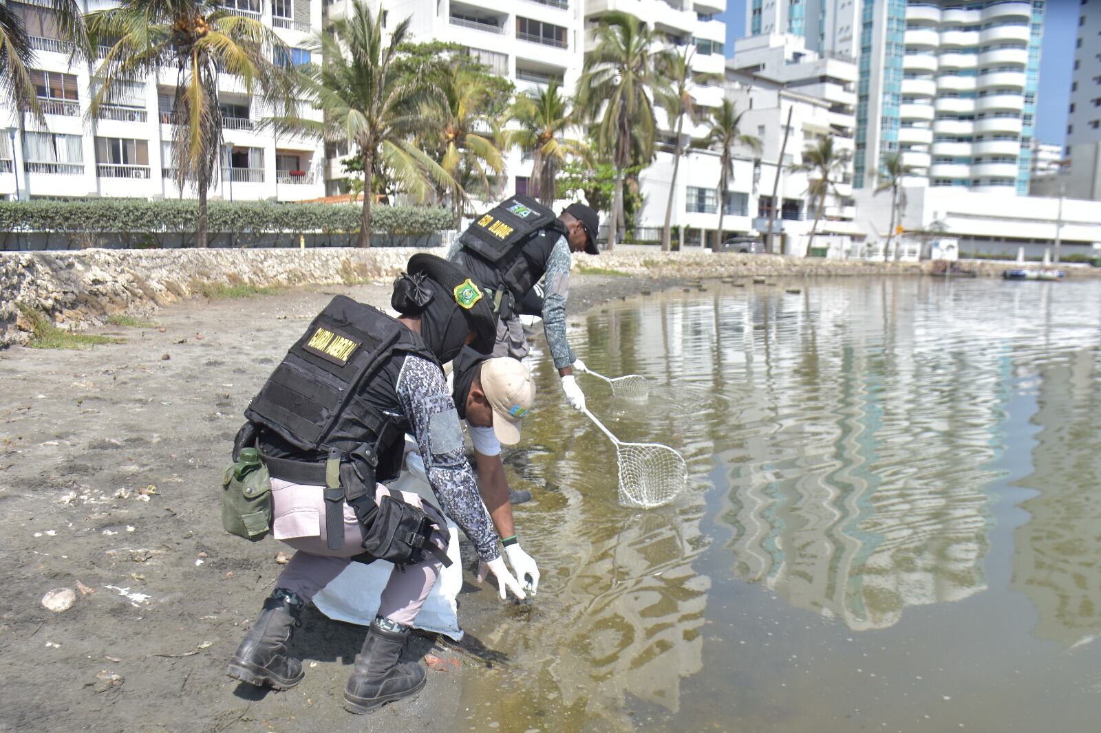 Recolección de peces muertos en El Laguito Cartagena