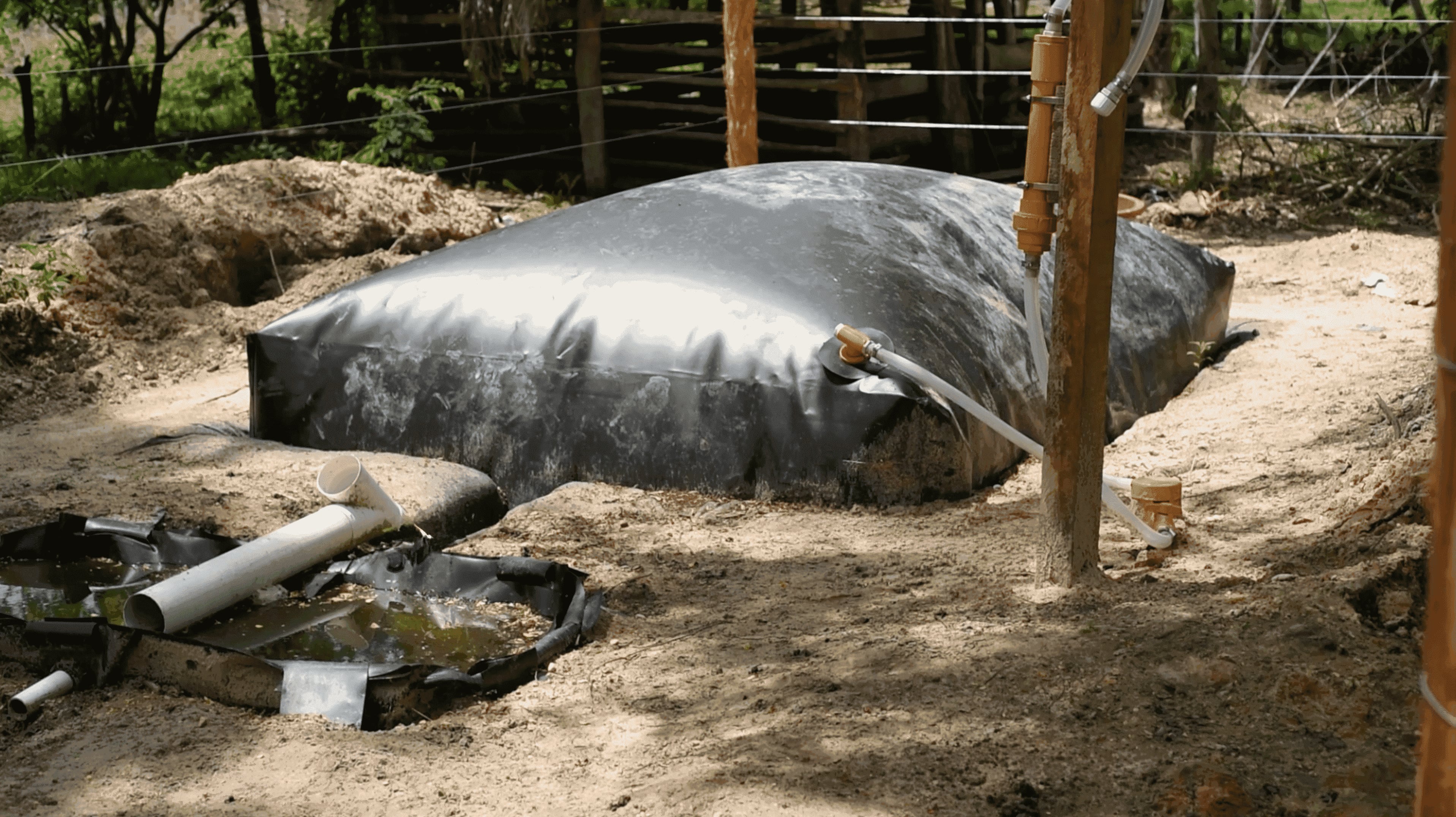 Descubra de que forma se puede contribuir a la reducción de emisiones de gases de efecto invernadero.