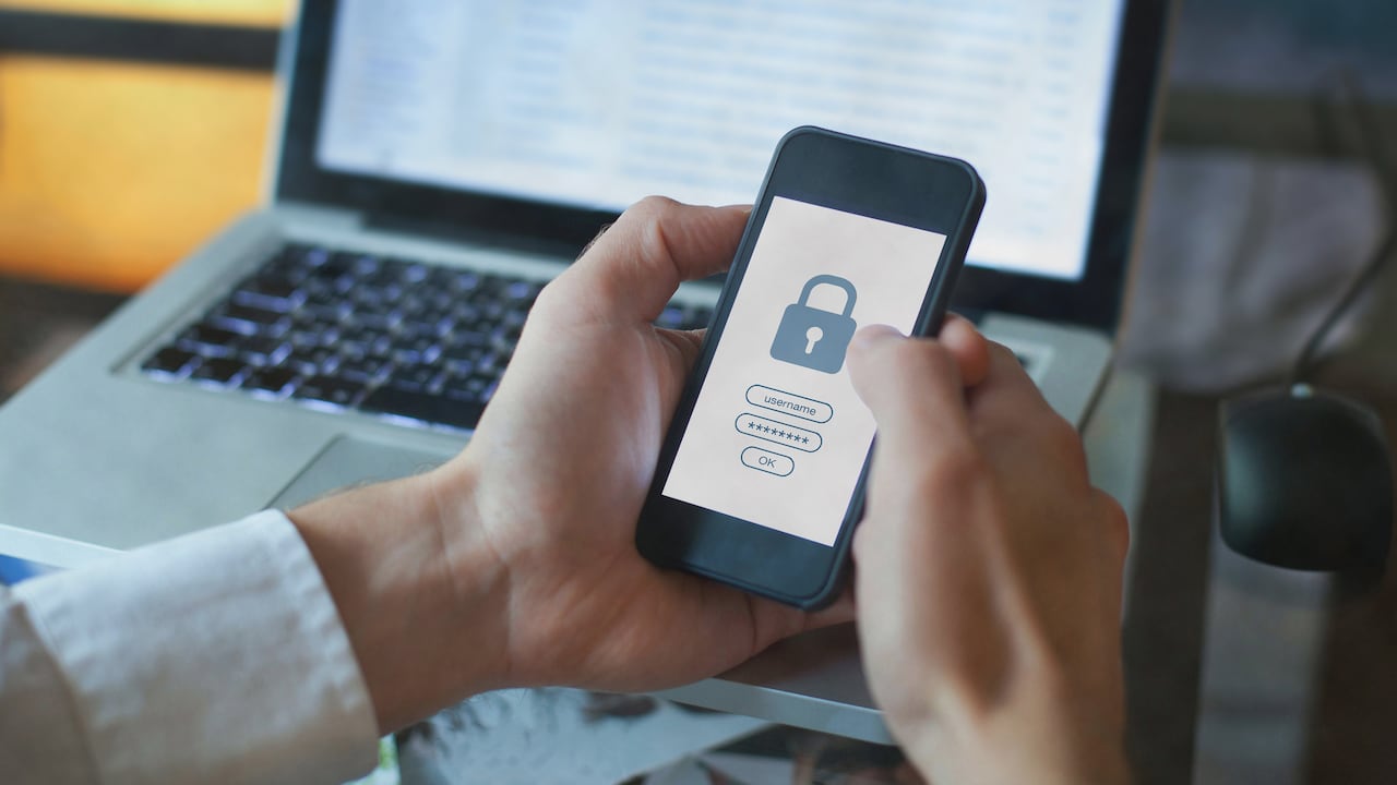 Las modalidades más comunes de ciberfraude son el 'phising', 'vishing' y 'smishing' y el ‘vishing’.