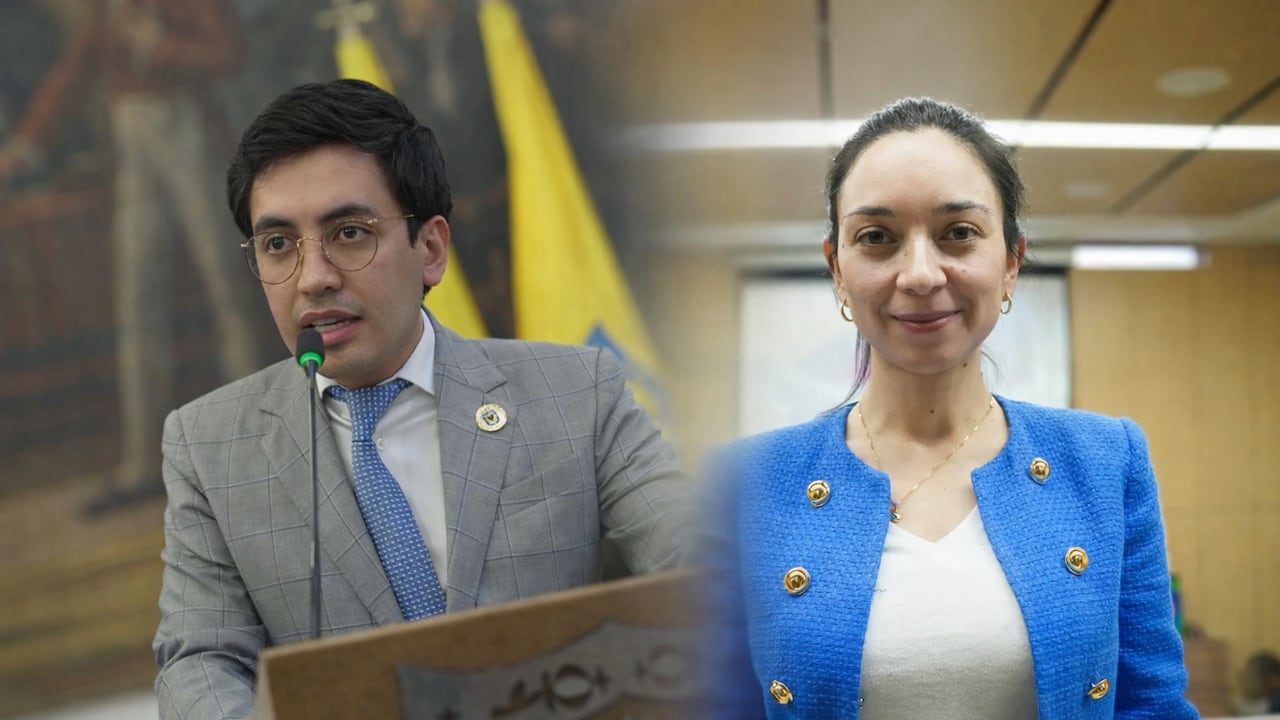 Angelo Schiavenato denuncia en SEMANA irregularidades de la alcaldesa Pinilla.