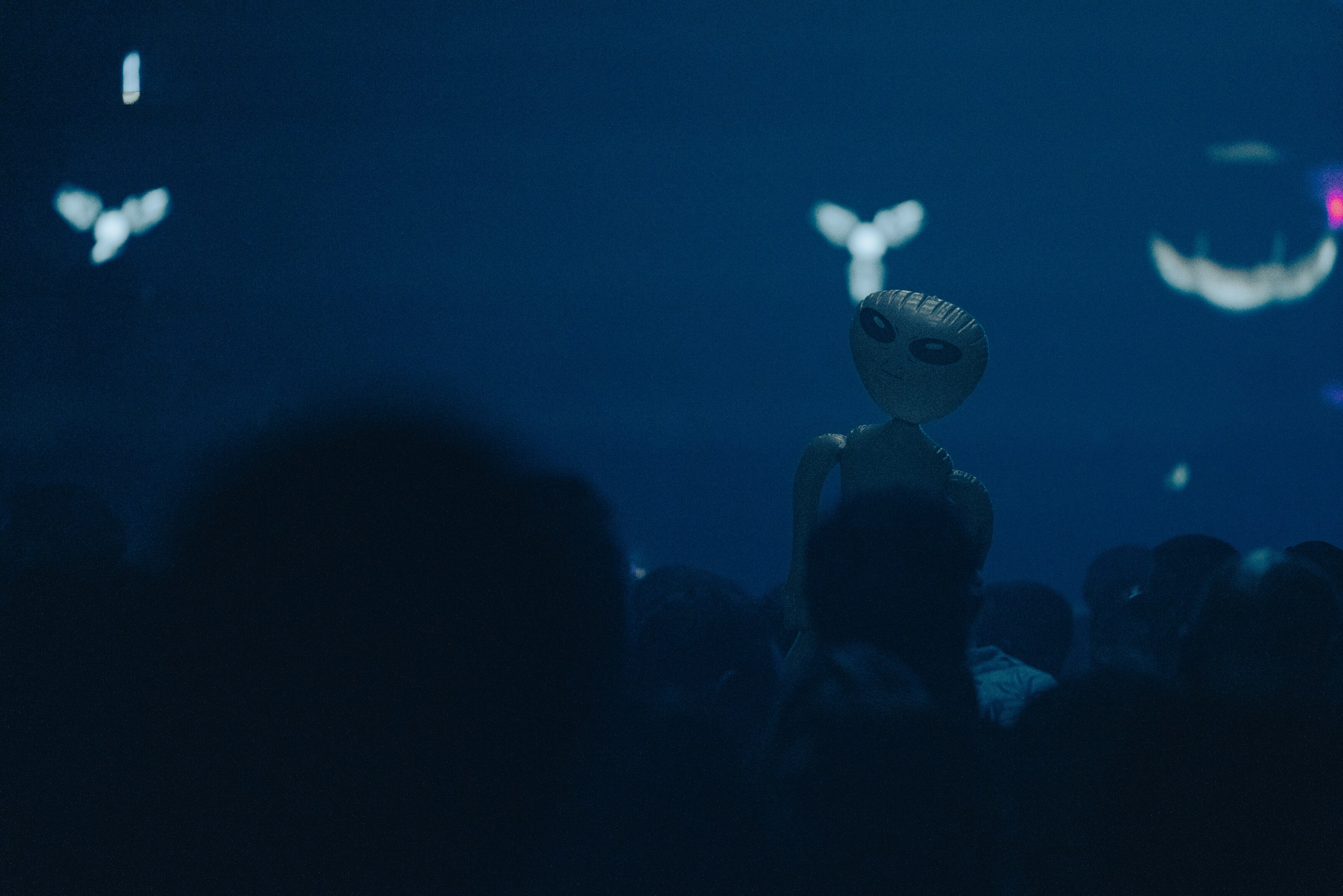 Postales del Baum Festival 10.