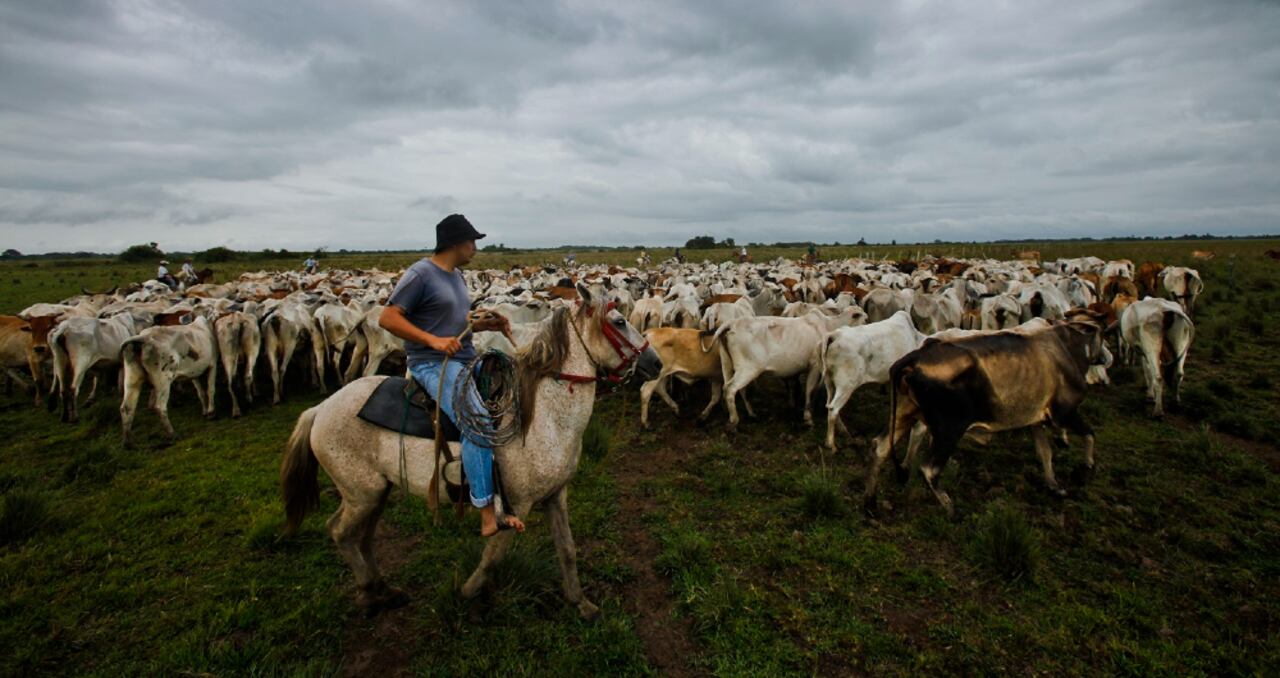 La Corporación Cultural Entreletras realizará 'el Segundo Encuentro El llano contao. Prosa y verso para narrar la tierra plana'.