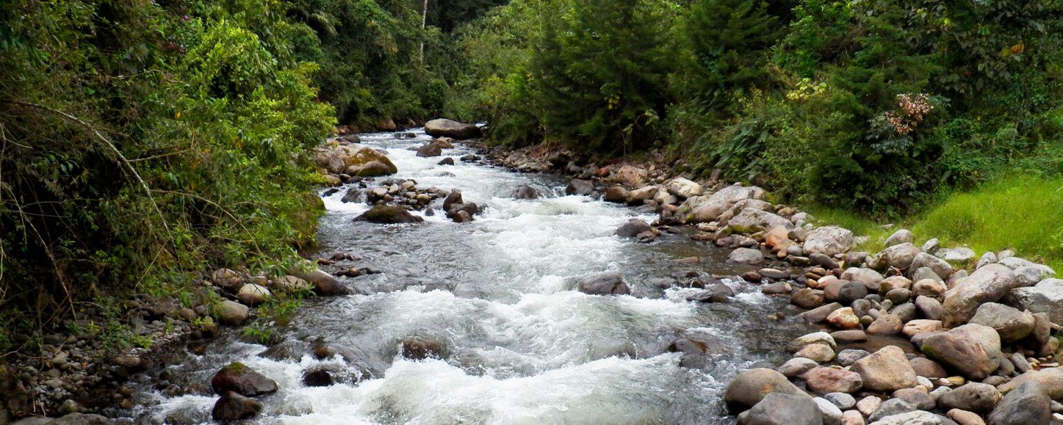 Cinco Parques Naturales de Colombia para visitar en 2025: ¿qué planes hacer?