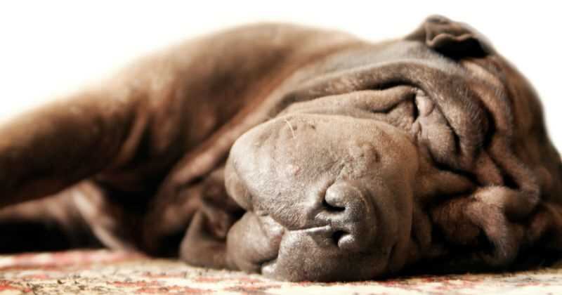 Pese a que proteger contra el frío es una práctica recomendada por expertos, lo cierto es que esta se debe hacer de manera cuidadosa.