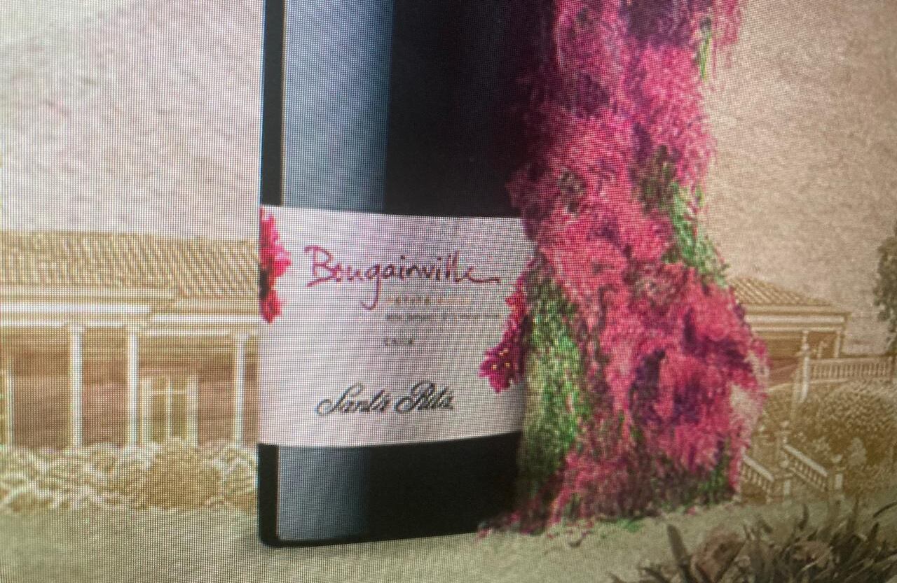Desconocido en Colombia, pero ‘de pura cepa’. Es el Santa Rita Bougainville, en su cepa Petite Syrah, es poco conocido en Colombia y típico del Valle del Ródano en Francia.