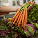 El consumo de zanahoria tiene muchos beneficios para el organismo.