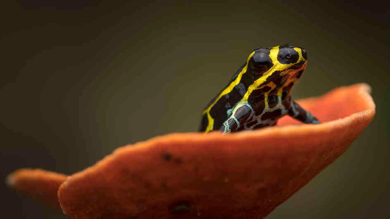 Según Luis Miguel Morello, la ANH tiene el reto de garantizar una industria responsable social y ambientalmente, que mantenga la generación de ingresos para el desarrollo del país.