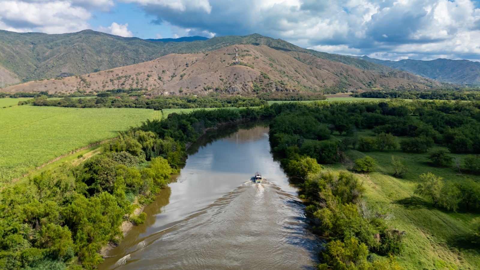 La ruta ‘El vuelo del garzón azul’, en barco, parte desde Guacarí, pasa por Yotoco y finaliza en la Laguna de Sonso. Se espera que más empresas turísticas la aprovechen. 

Foto suministrada por la CVC