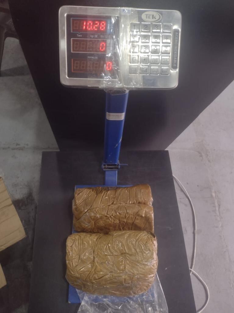 Lassy, el perro que descubrió importante cargamento de cocaína en Cali.