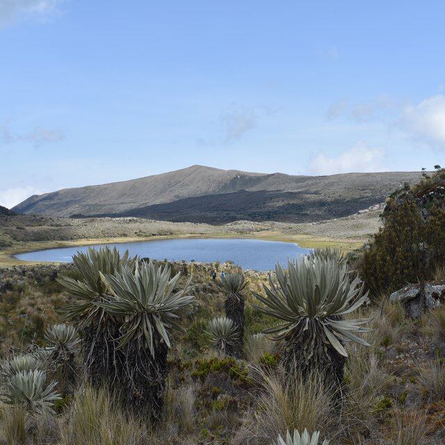 Sumapaz: del cielo a la tierra