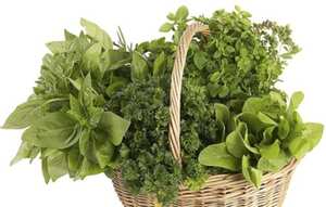 Plantas y aguas aromaticas que e ayudan a adelgazar.